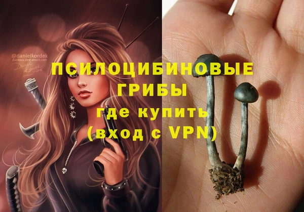 мяу мяу мука Аркадак