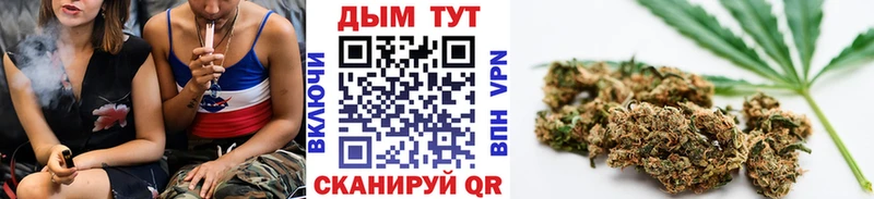 KRAKEN ONION  Сухой Лог  Бошки Шишки THC 21%  где купить наркоту 